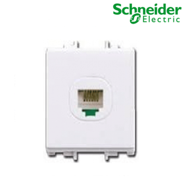 Ổ cắm mạng cat5e S-Flexi Size M F50RJ5EM_WE_G19