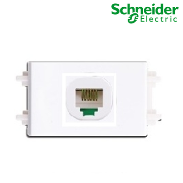 Ổ cắm mạng cat5e Size S S-Flexi F30RJ5EM_WE_G19