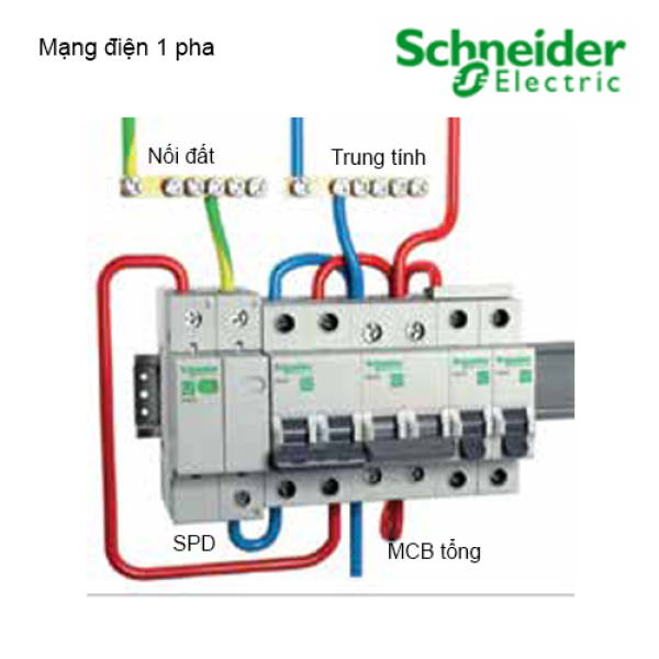 Cầu dao tự động MCB ACTI9 IC60N 1P 25A