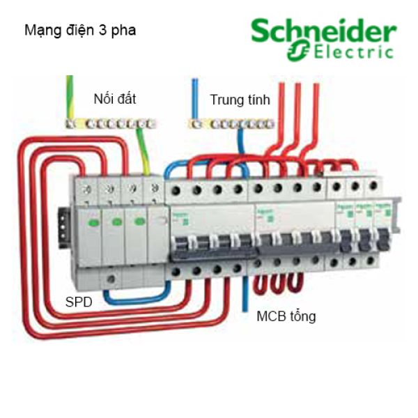 Cầu dao tự động MCB ACTI9 IC60N 1P 25A