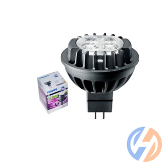 Đèn led chiếu điểm Master Led 6.5-50W 927/930/940 12V MR16 10/24/36/60D Dim