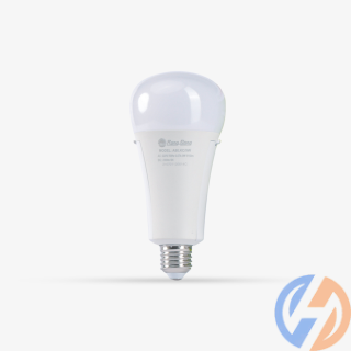 Bóng đèn LED Bulb lưu điện Rạng Đông