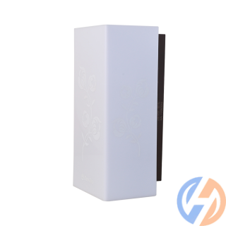 Đèn LED gắn tường GT08 Rạng Đông