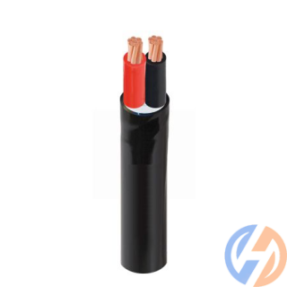 Dây cáp điện 2 lõi Cadivi CVV-2×4 – 300/500V