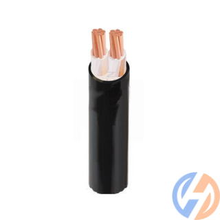 Dây cáp điện 2 lõi Cadivi CXV-2×6 mm2 – 0.6/1kV
